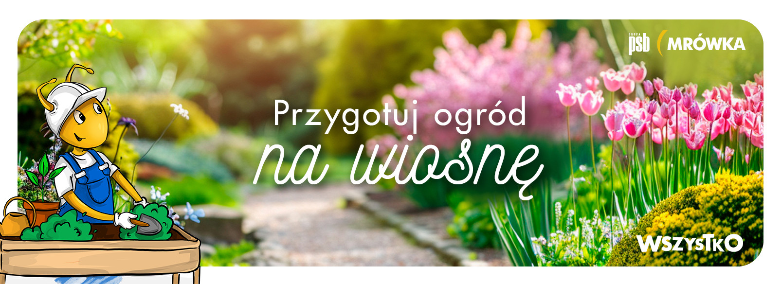 Grupa PSB mrowka PSB Mrówka Kazimierza Wielka