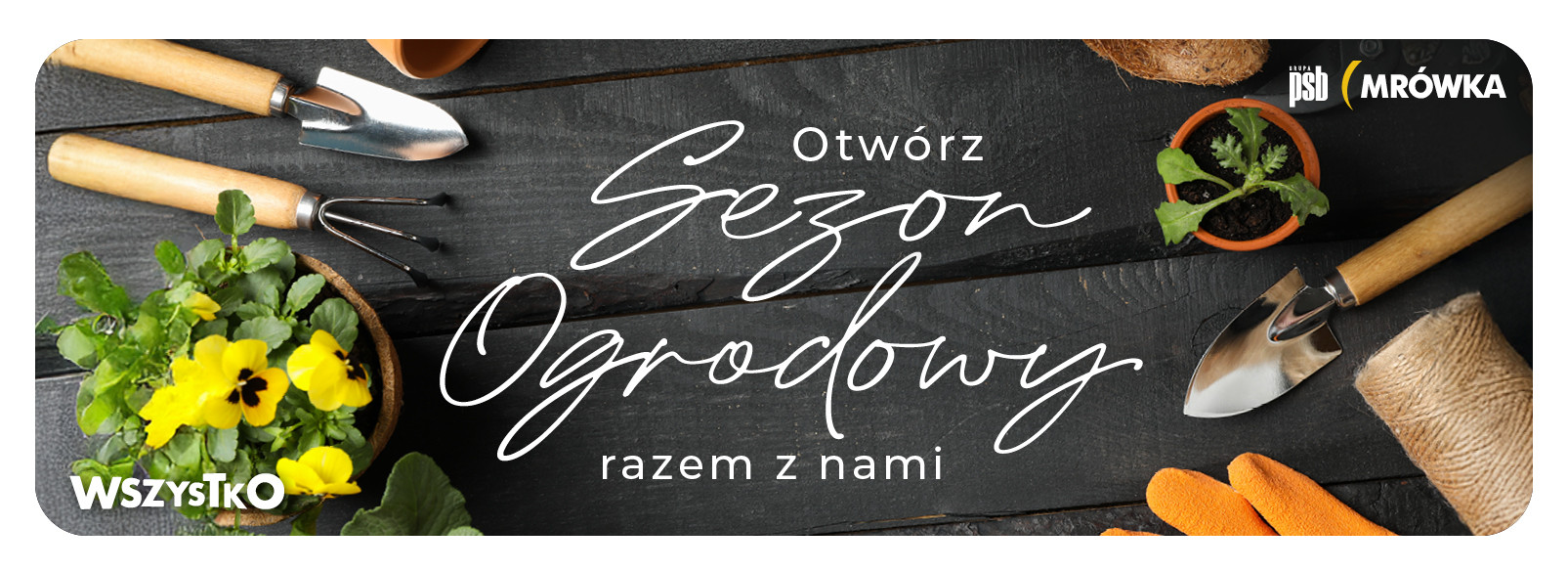 Grupa PSB mrowka PSB Mrówka Kazimierza Wielka