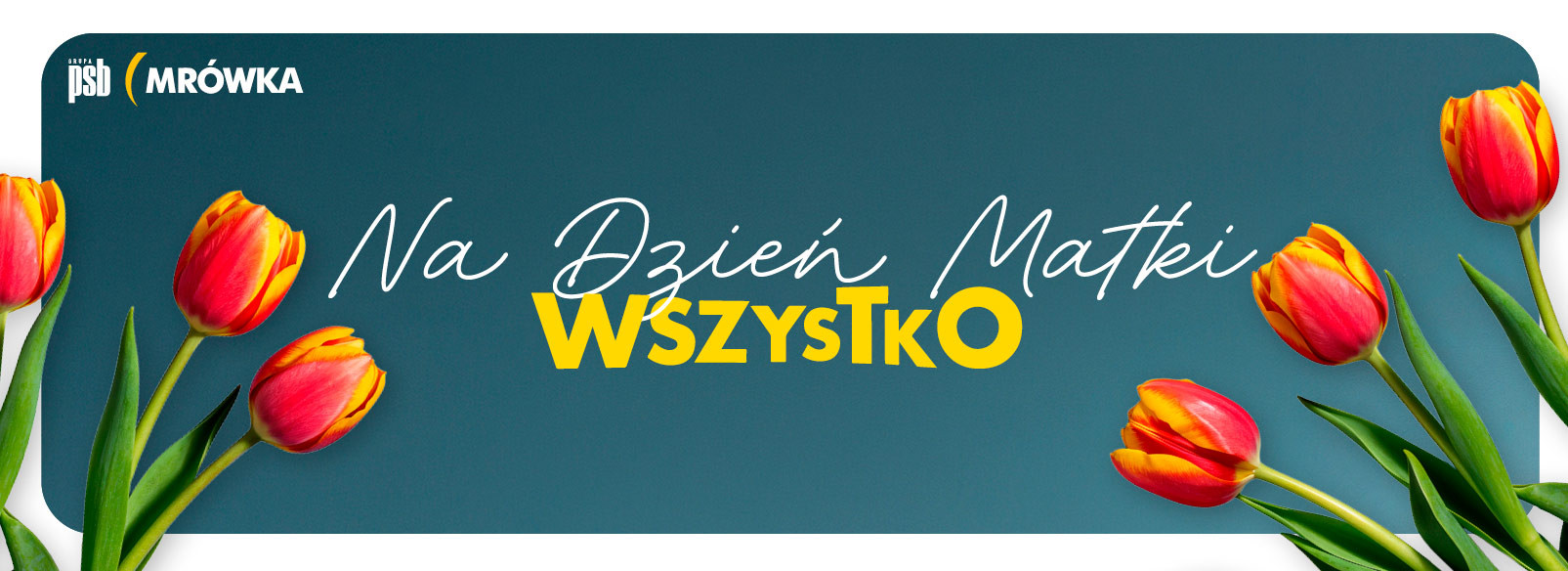 Grupa PSB mrowka PSB Mrówka Kazimierza Wielka
